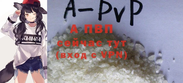 спиды Нея