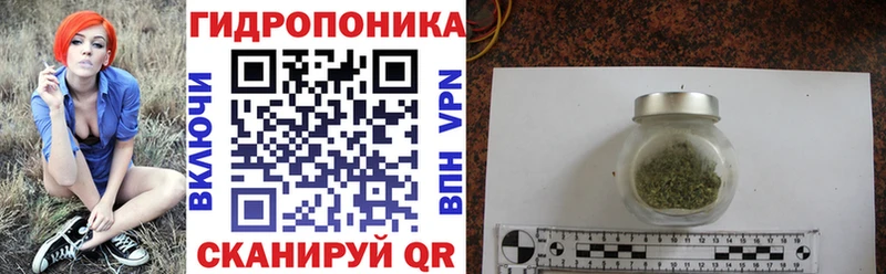 купить наркотик  Ковдор  даркнет наркотические препараты  Канабис Amnesia 